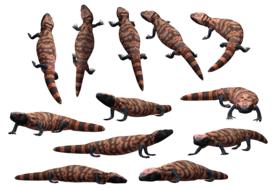 lizard reptile gila beaded monster