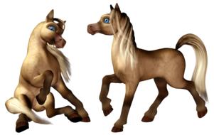 pony horse colt filly foal