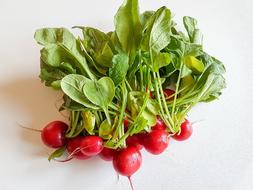tasty garden vegetables