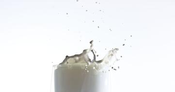 splashes of sweet milk