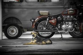 Bike Royal Enfield