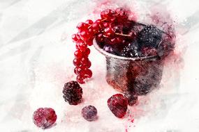 Drawing berries in a glass with watercolor