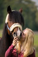 Horse Friendship Trust