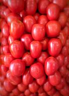 ripe tasty tomatoes harvest