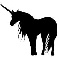 unicorn shadow pony horse myth