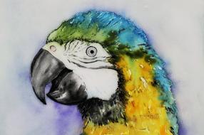 ara parrot watercolour yellow macaw