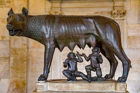She-Wolf Wolf Rome
