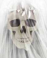 skull veil Halloween veil