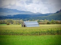 grass house clouds mountains