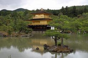 Temple Golden Kyoto