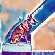 dog german shepherd painting doggy