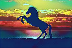 horse silhouette colorful animal