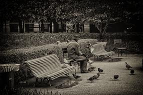 Olttimer Old Man