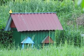 Ul Pasieka Bees Distributional