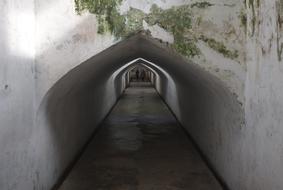 tunnel bridge green view