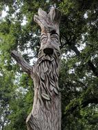 Green Man Tree Face