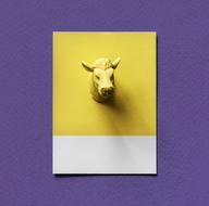 Abstract Animal Bull