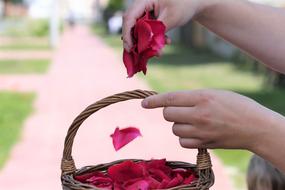 Corpus Christi Feast Basket Girl