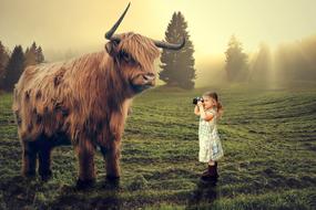 a girl photographing a buffalo on a field