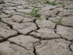 Earth Cracked Clay Soil