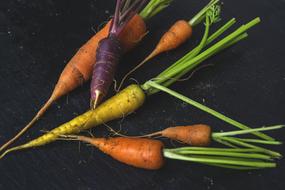 colored dirty carrots