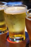 cold beer in a glass at the bar
