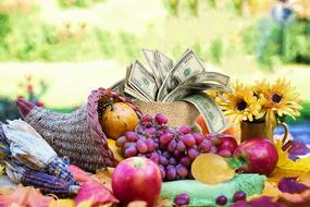 basket of money against a background of fruit