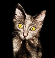 cat kitten cute animals pet