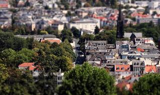 city tree view