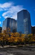 city autumn forest