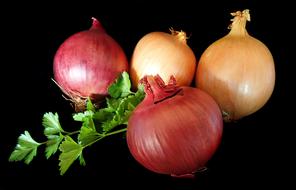 ripe delicious onions on the table