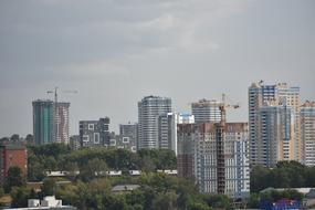 building a city among the trees