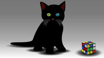kitty kitten silhouette animals