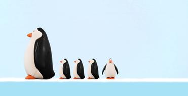 Family Penguin Bird