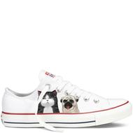 Cats Dog Shoes