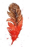 feather watercolour paint