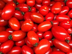 Tasty juicy tomatoes harvest