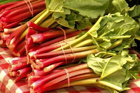 red vegetable roots on the market
