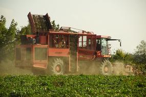 big combine harvester in the field