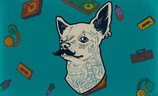 tumblr madness hipster dog vintage