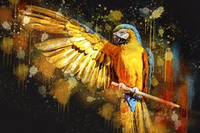 ara parrot yellow macaw bird