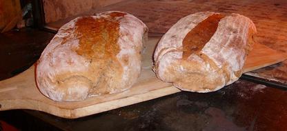 hot crusty bread is delicious