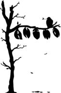 bird deadwood wood tree animal