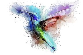 hummingbird bird trochilidae fly