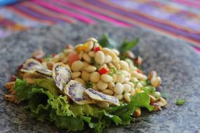 vegetable salad with beans