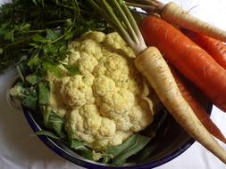 Healthy ripe delicious vegetables