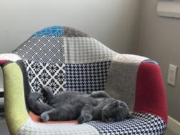 the cat is sleeping in a chair