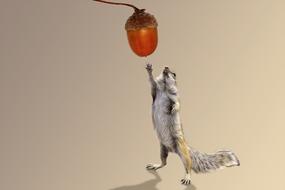 Squirrel Acorn Autumn