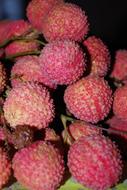 red lychees close up