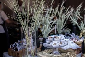 Packaged dessert against a backdrop of plants